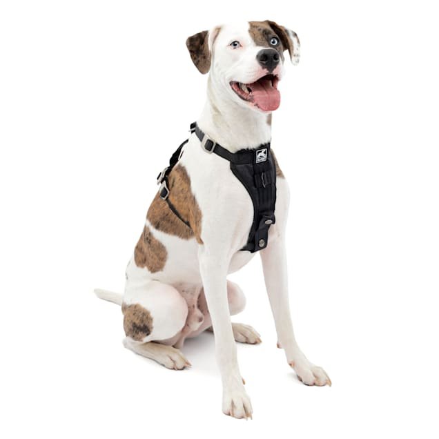 Kurgo Black Tru-Fit Smart Enhanced Strength Dog Harness, Medium product image