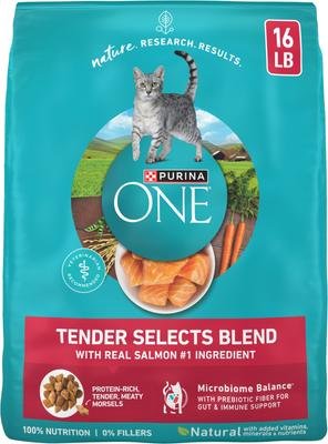Purina ONE Tender Selects Blend with Real Salmon Natural Dry Cat Food, 16-lb bag product image