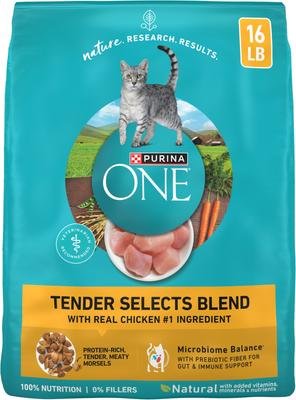 Purina ONE Tender Selects Blend with Real Chicken Natural Dry Cat Food, 16-lb bag product image